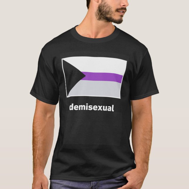 Demisexual Pride Flag Demisexual Flag T-Shirt (Front)