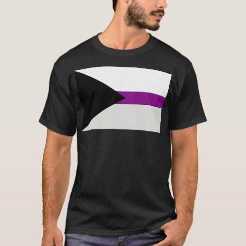Demisexual Pride Flag  T_Shirt