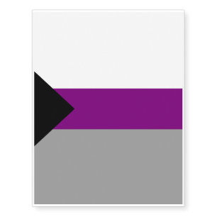 DEMISEXUAL PRIDE FLAG TEMPORARY TATTOOS
