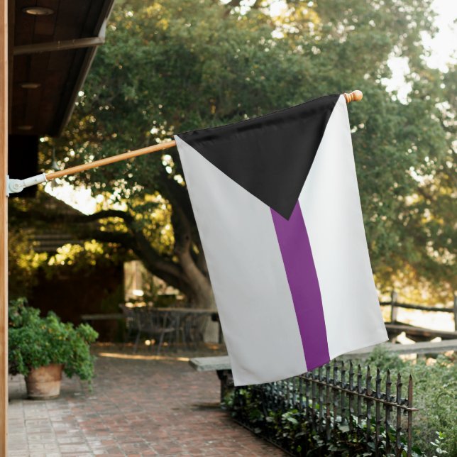 Demisexual Pride House Flag (In SItu)