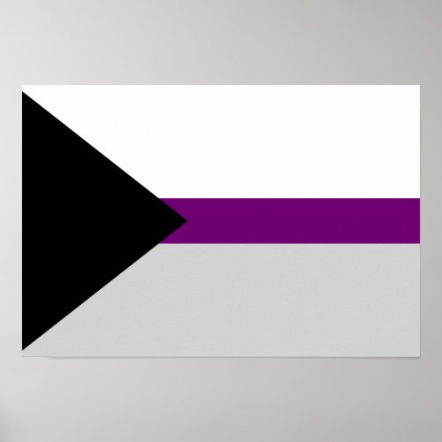 Demisexuality flag Poster
