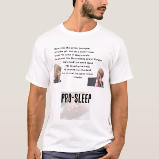 Democracy 101 Free Speech Pro-Sleep T-Shirt