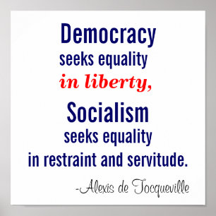 Democracy seeks equality in liberty poster