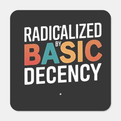 Democracy Social Radicalized By Basic Decency Metal Sign