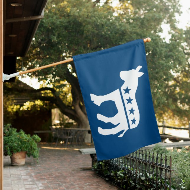 Democrat Donkey House Flag (In SItu)