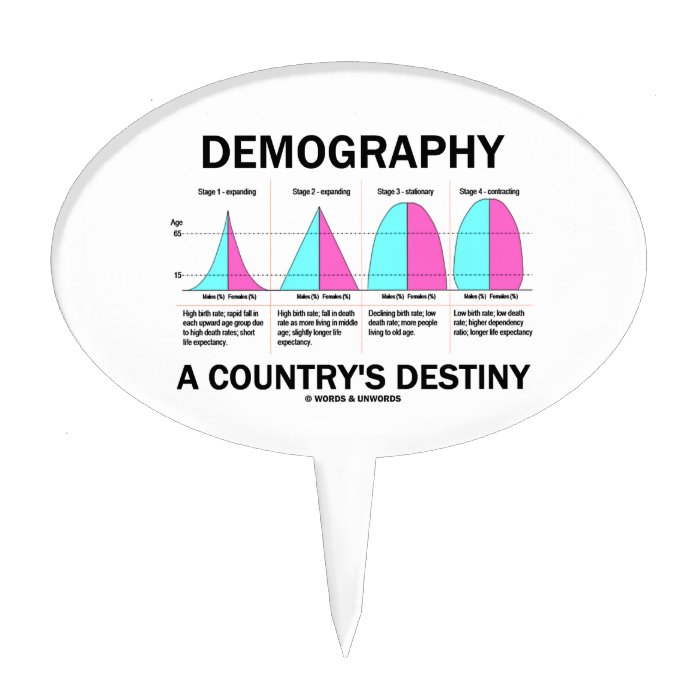 Demography A Country's Destiny Oval Cake Pick