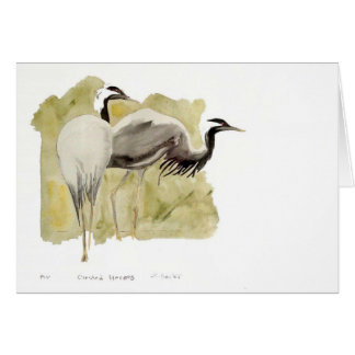 Demoiselle Cranes Cards
