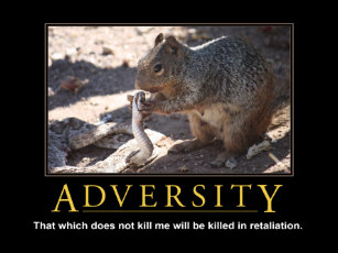 demotivational posters photo prints zazzle