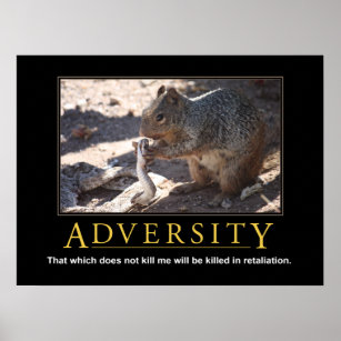 Demotivational Poster: Adversity Poster