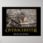 Demotivational Poster: Overachiever Poster at Zazzle