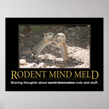 Demotivational Poster: Squirrel Mind Meld Poster by poozybear at Zazzle