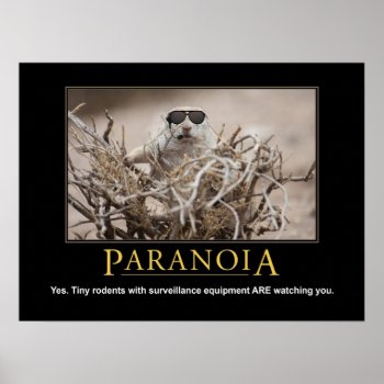 Demotivational Squirrel Poster: Paranoia Poster by poozybear at Zazzle