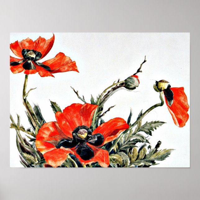 Demuth - Red Poppies, popular painting Poster (Front)