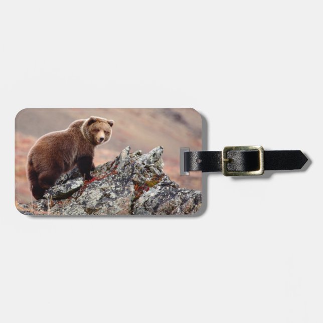 Denali Brown Bear Luggage Tag (Front Horizontal)