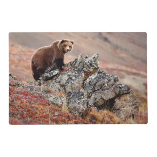 Denali Brown Bear Placemat