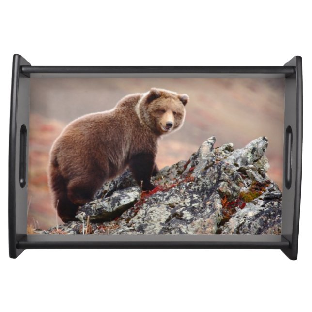 Denali Brown Bear Serving Tray (Front)