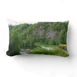 Denali Express Alaska Train Vacation Photography Lumbar Pillow