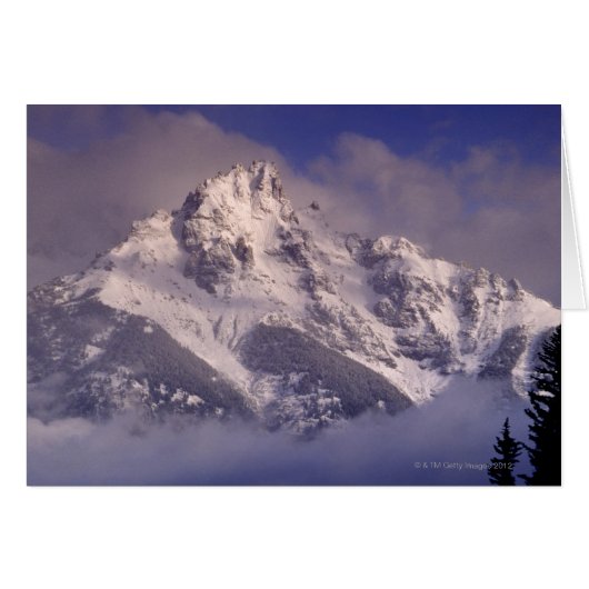 Denali mountain range, Alaska Cards (Front Horizontal)