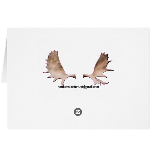 Denali (Mt. McKinley) (Back Horizontal)