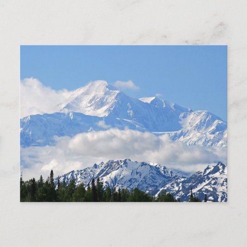 Denali  Mt McKinley Alaska Postcard