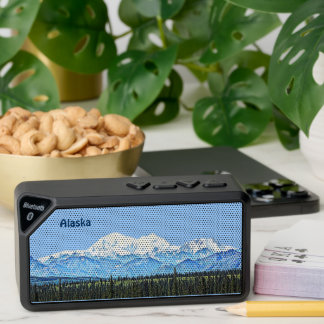 Denali (Mt. McKinley) Bluetooth Speaker