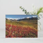 Denali National Park (Standing Front)