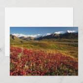 Denali National Park (Front/Back)