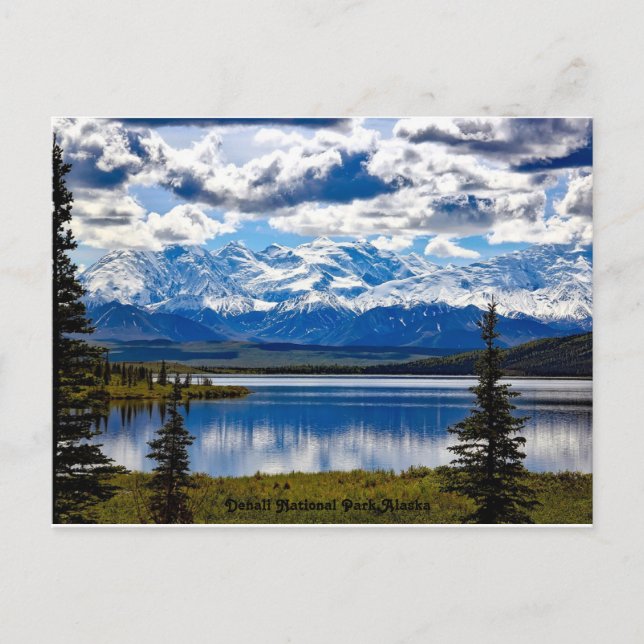 Denali National Park, Alaska Holiday Postcard (Front)