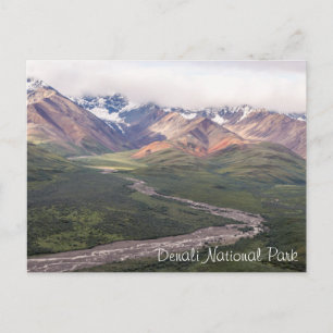 Denali National Park - Alaska Postcard