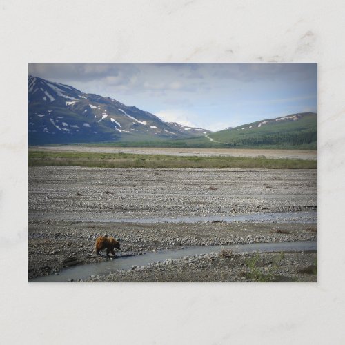 Denali National Park and Preserve Alaska Postcard