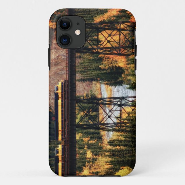 Denali National Park and Preserve USA Alaska Case-Mate iPhone Case (Back)