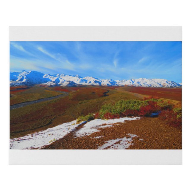 Denali National Park Faux Canvas Print (Front)