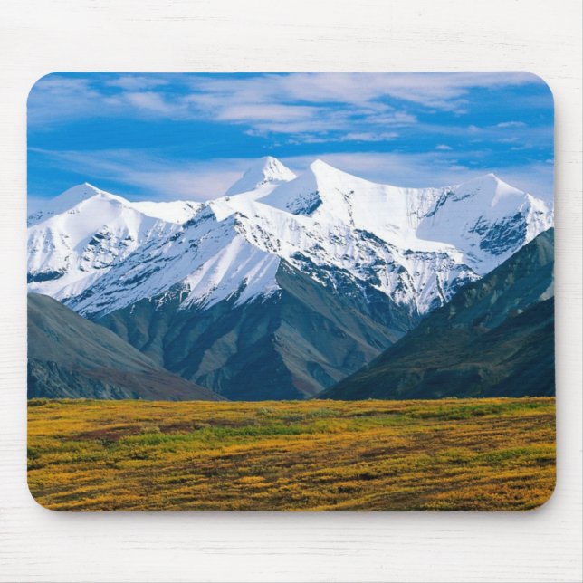 Denali National Park mousepad (Front)