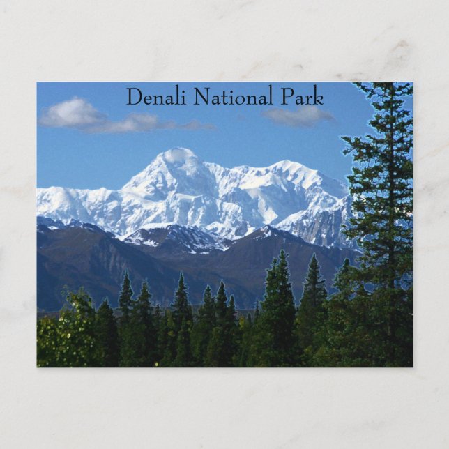 Denali National Park PostCard (Front)