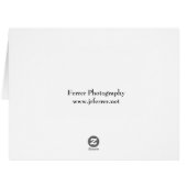 Denali Park Peaks (Back Horizontal)