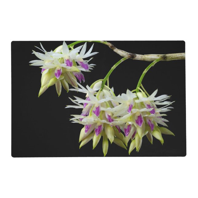 Dendrobium Amethystoglossum Placemat (Front)