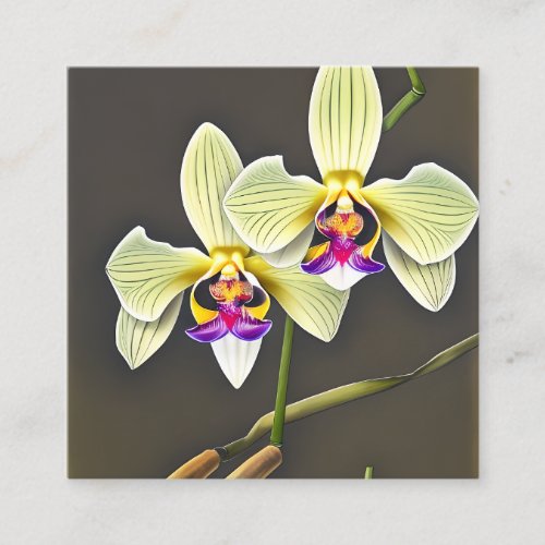 Dendrobium Bamboo Orchid Triptych Square Business Card