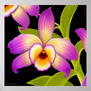Dendrobium Nobile Orchid Print