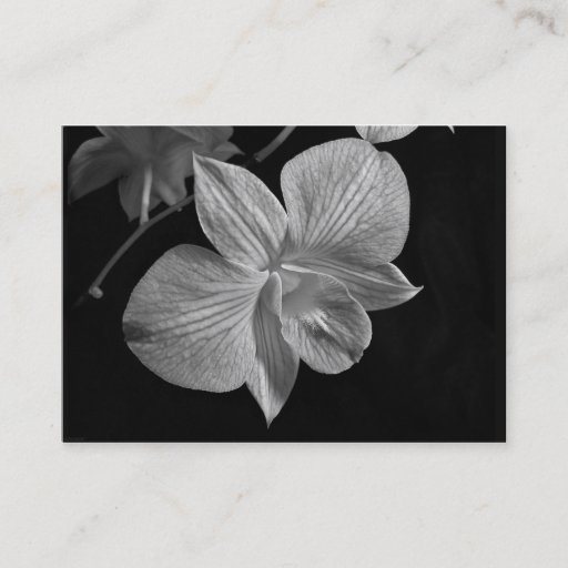 Customizable Dendrobium Orchid Blossom ATC Card Business Card