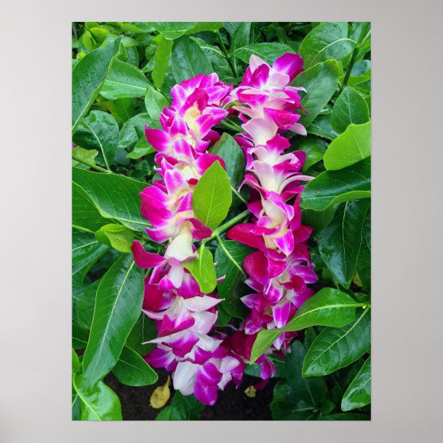 Dendrobium Orchid Lei Poster (Front)