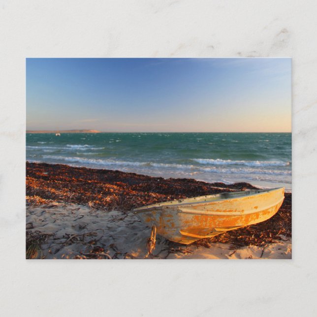 Denham - Western Australia Postcard (Front)