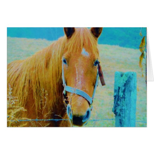 Denim blue tinted Horse (Front Horizontal)