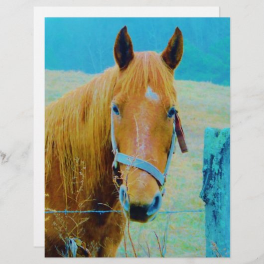 Denim blue tinted Horse (Front/Back)