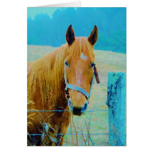 Denim blue tinted Horse Cards (Front)