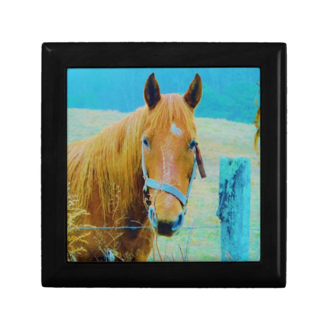 Denim blue tinted Horse Keepsake Box (Front)