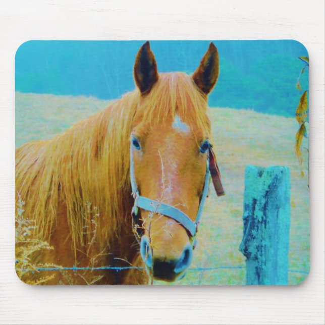 Denim blue tinted Horse Mouse Pad (Front)