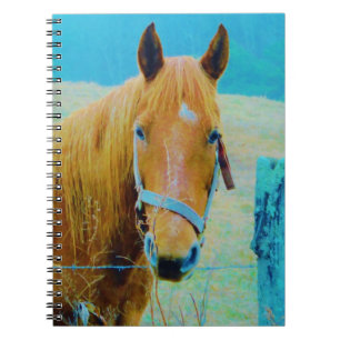 Denim blue tinted Horse Notebook