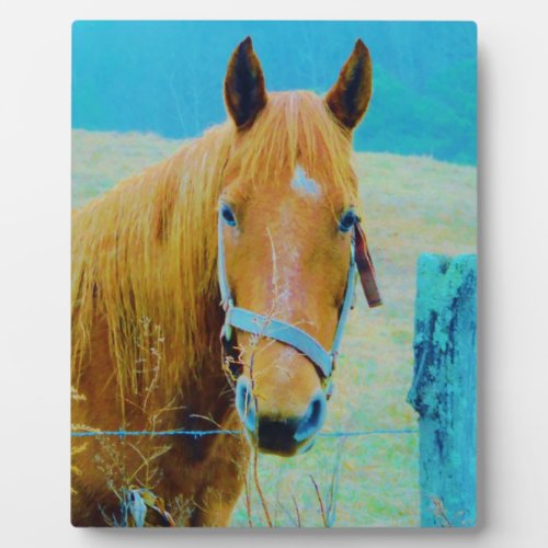 Denim blue tinted Horse Plaque
