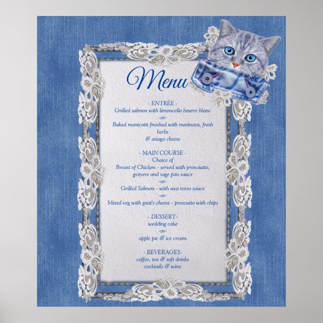 Denim Jean pockets,Kittens and Lace Poster (Front)