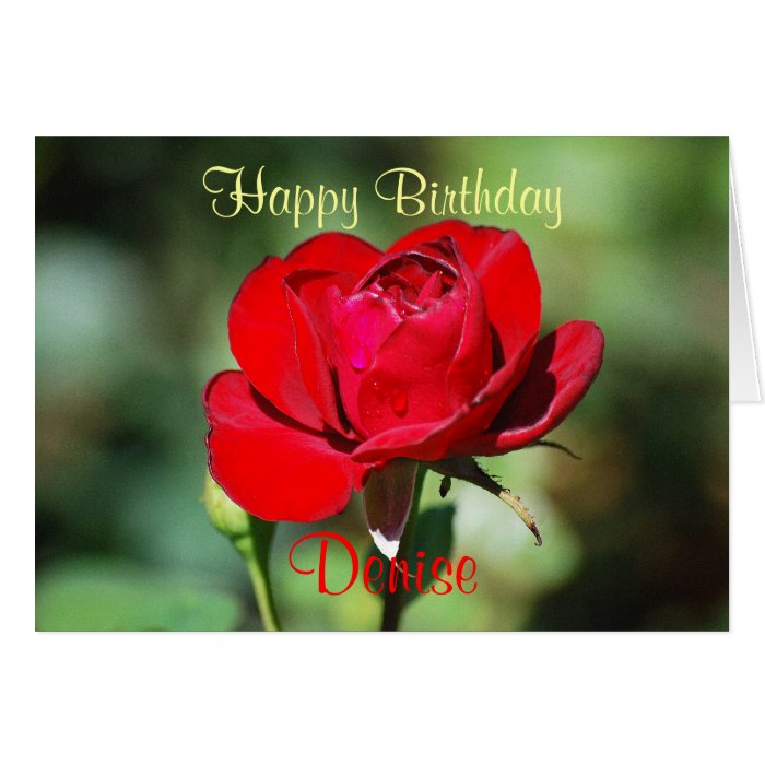 Denise Happy Birthday Red Rose Card